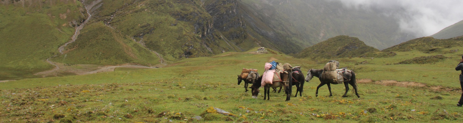 Sagala Trek, Bhutan Trekking Adventure