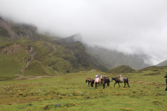 Sagala Trek, Bhutan Trekking Adventure