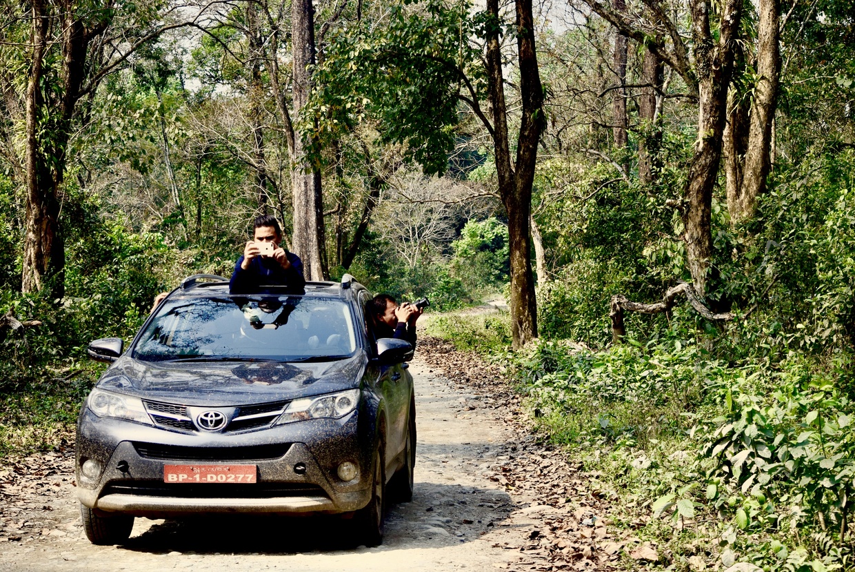 Car Safari in the Manas Park and Tiger Reserve