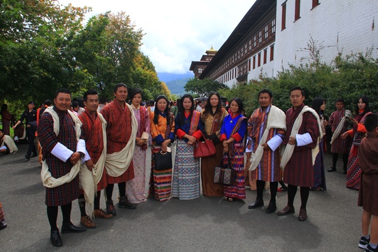 Bhutan Swallowtail Team 2017