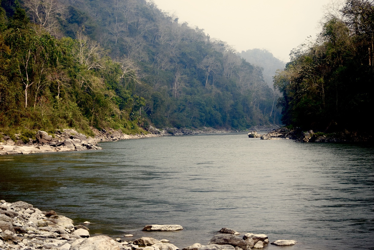 Dangmechu to join Manas River
